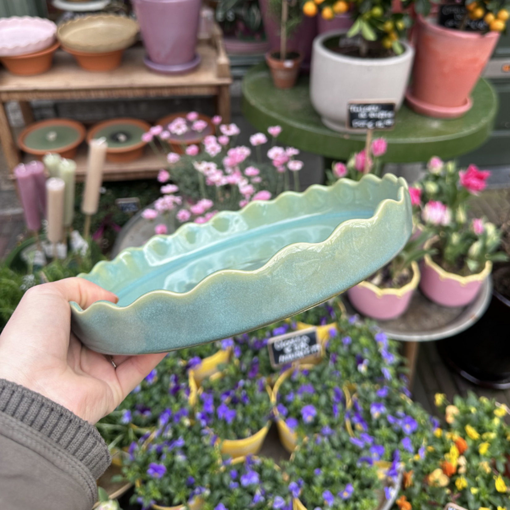 Taartschaal Moris - Emeraude Bleue - S