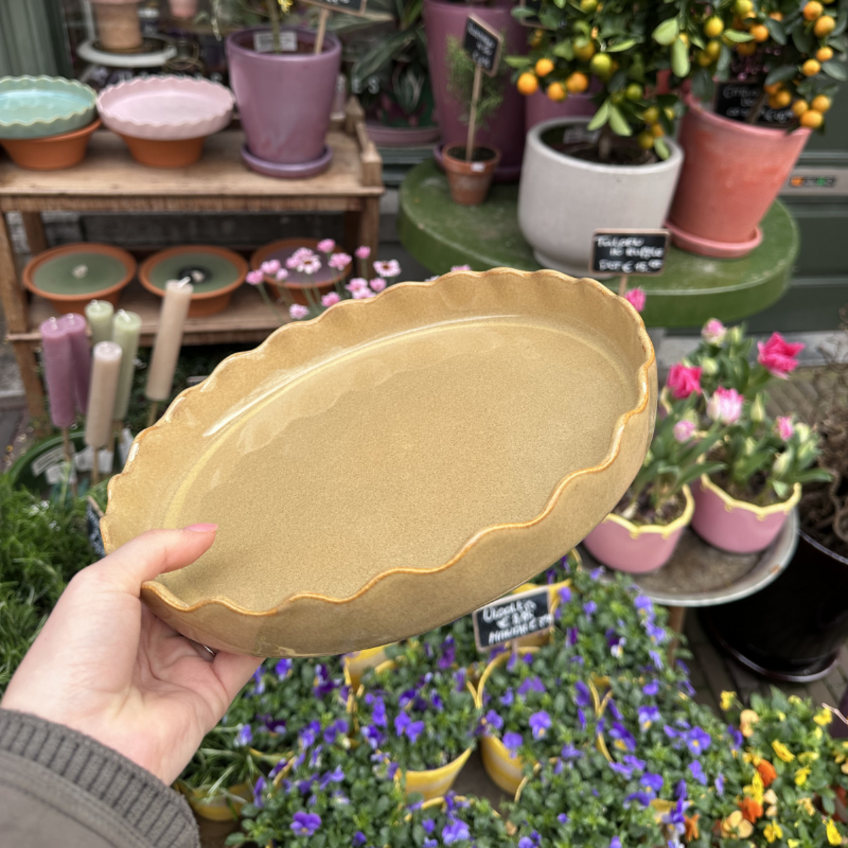 Taartschaal Moris - CafeauLait - S