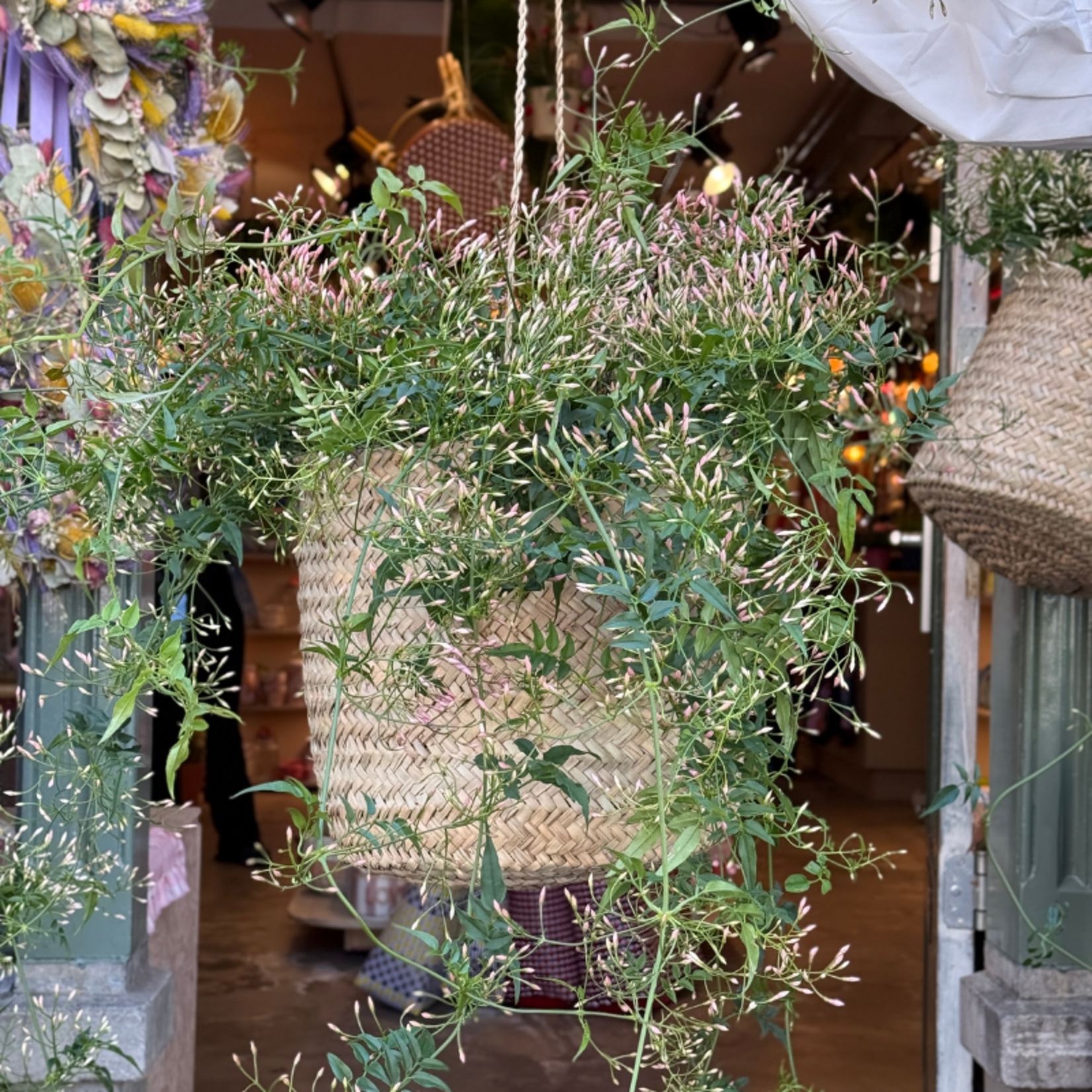 Grote hangmand naturel