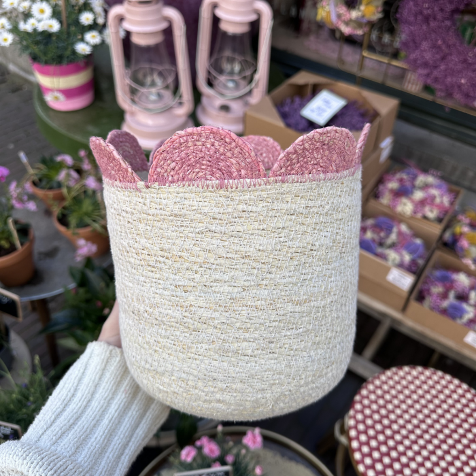 Mand - Lonnie - Roze