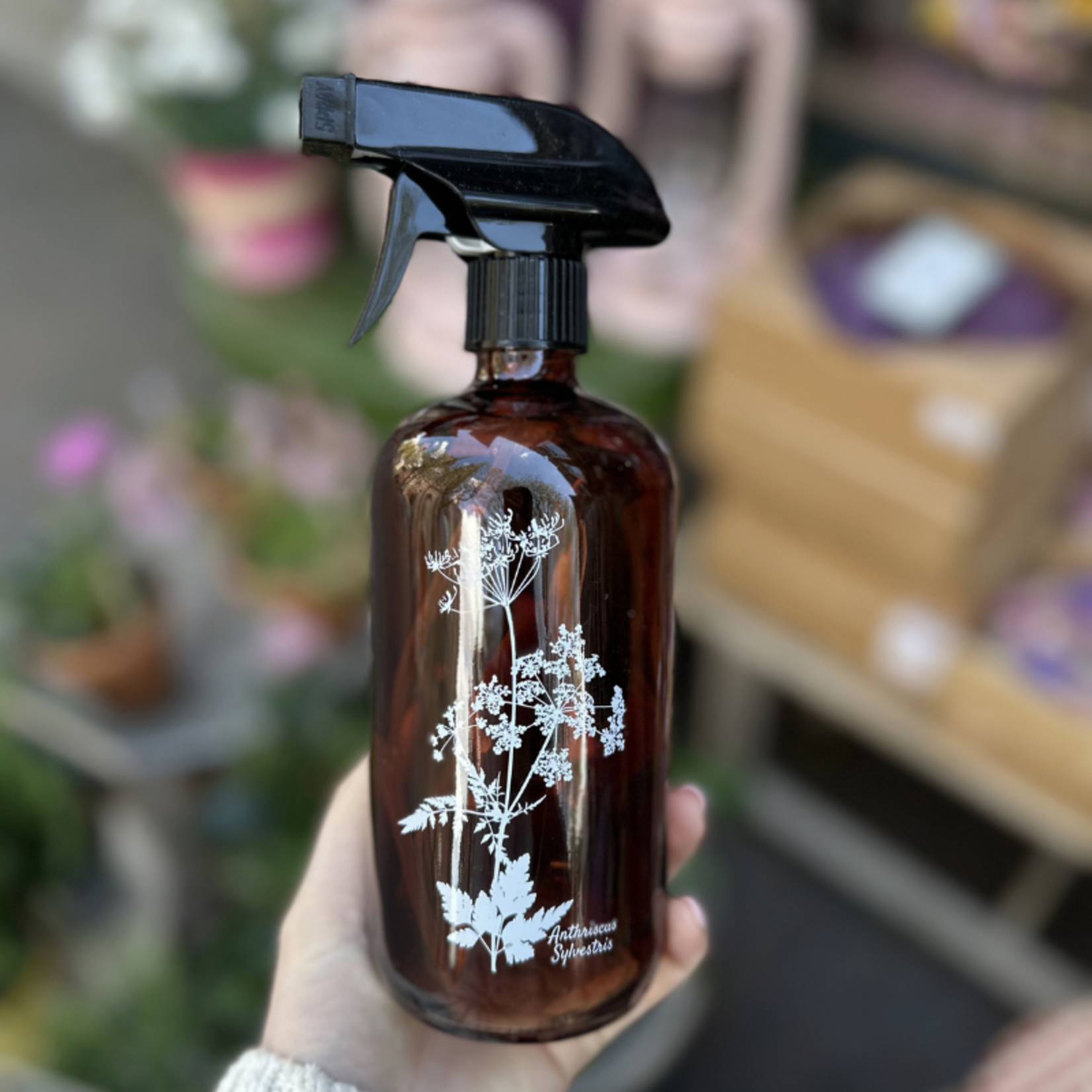 Plantenspuit Fluitenkruid - Bruin