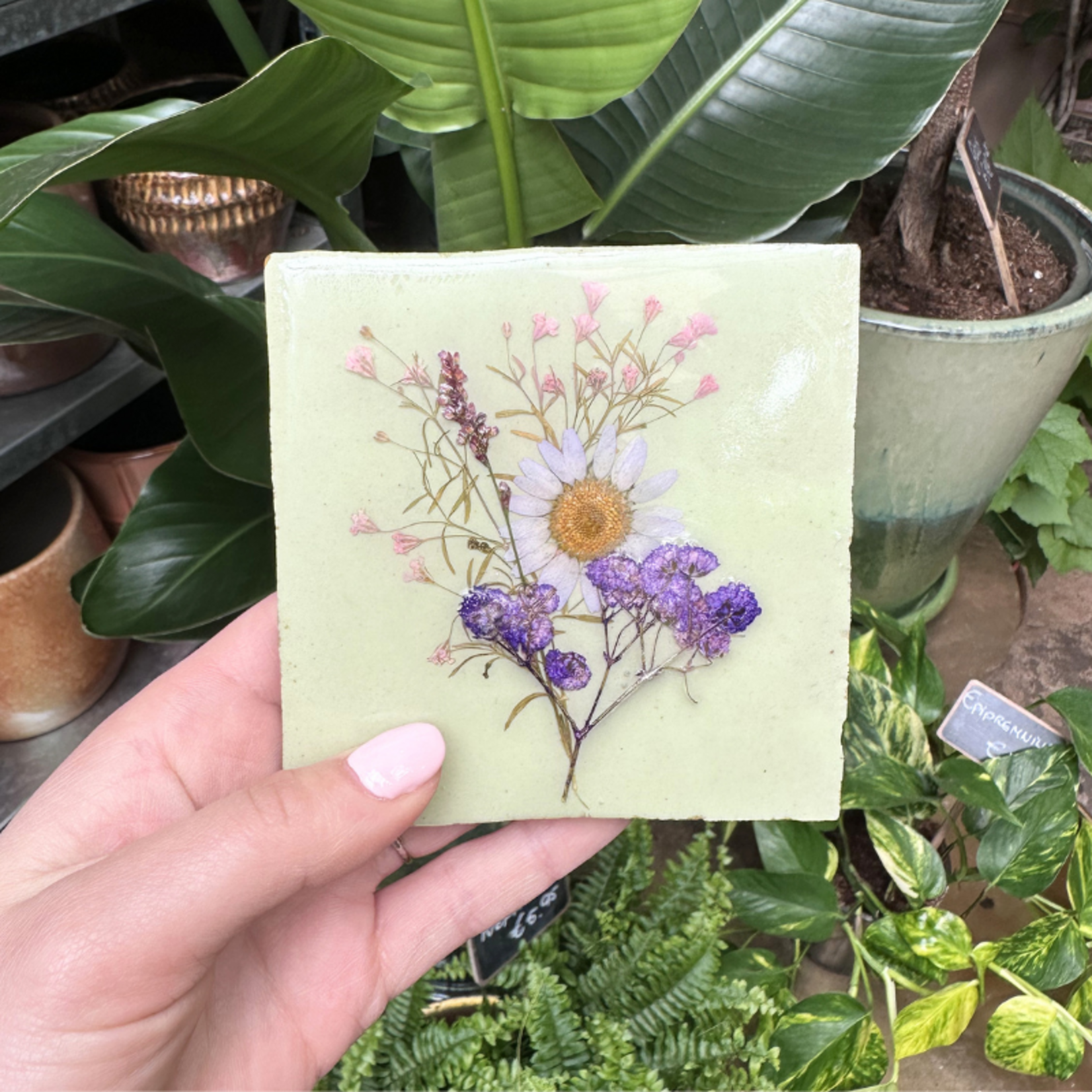 Droogbloemen tegel - mint - paarse bloem