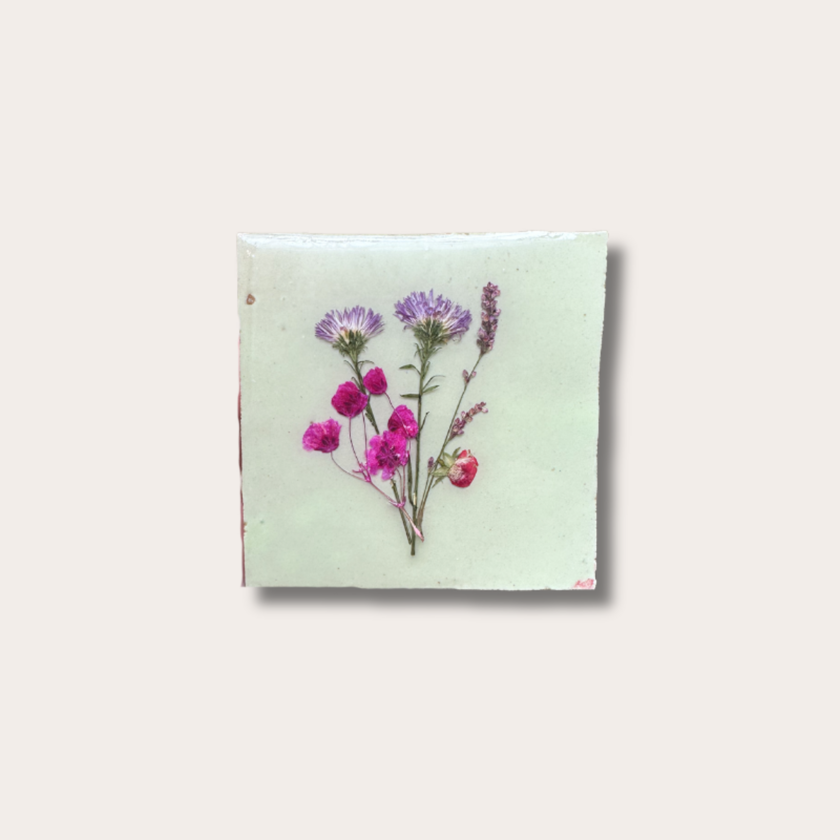 Droogbloemen tegel - mint - roze bloem