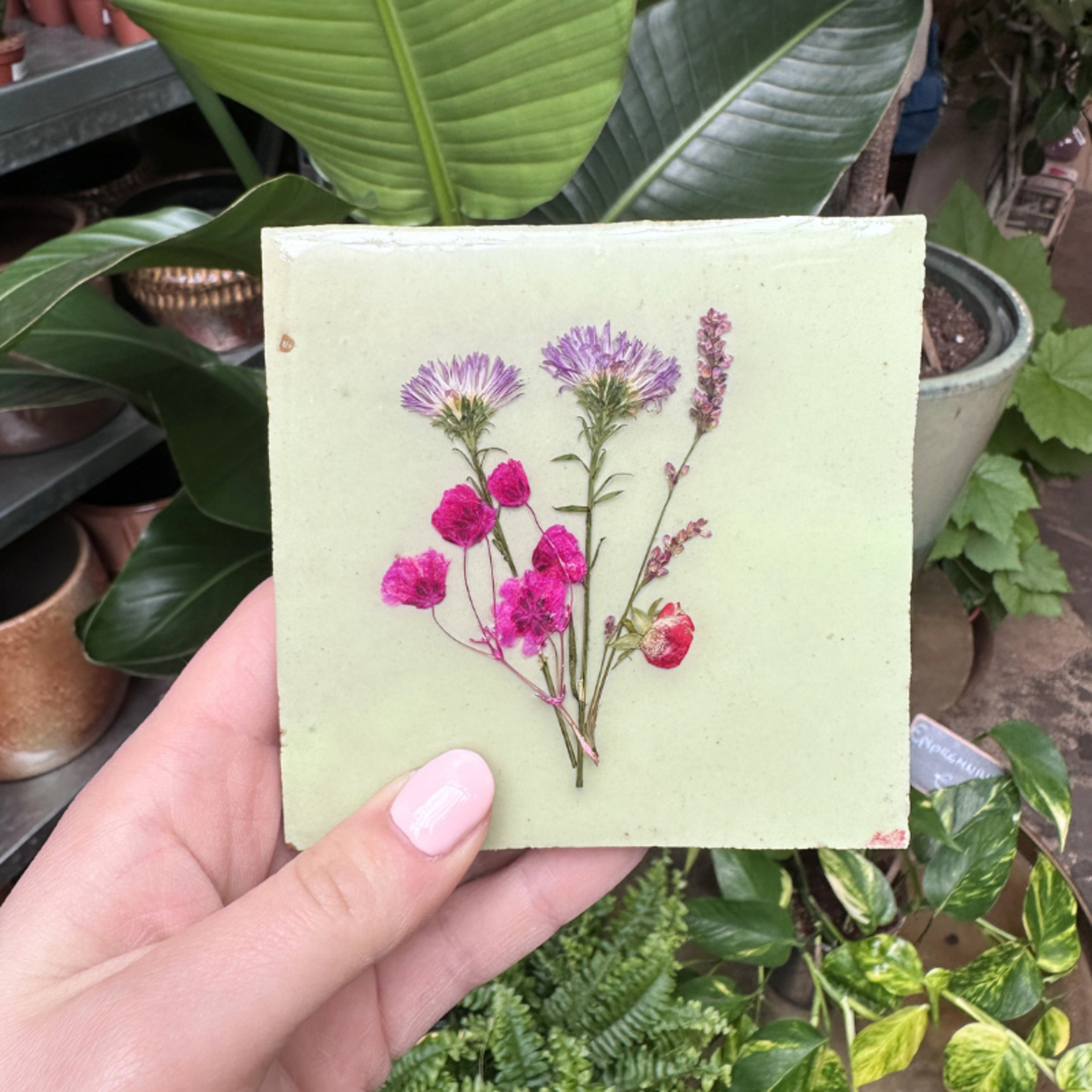 Droogbloemen tegel - mint - roze bloem