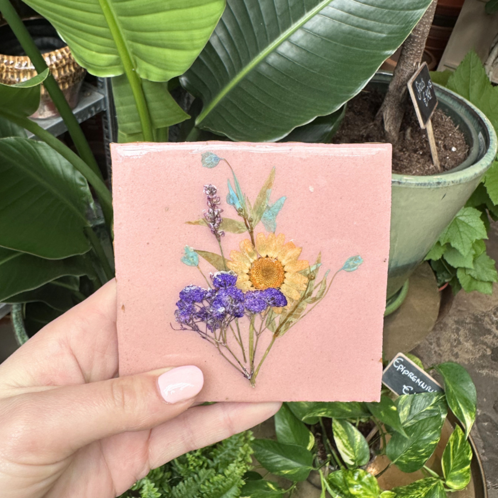 Droogbloemen tegel - oudroze - oranje bloem