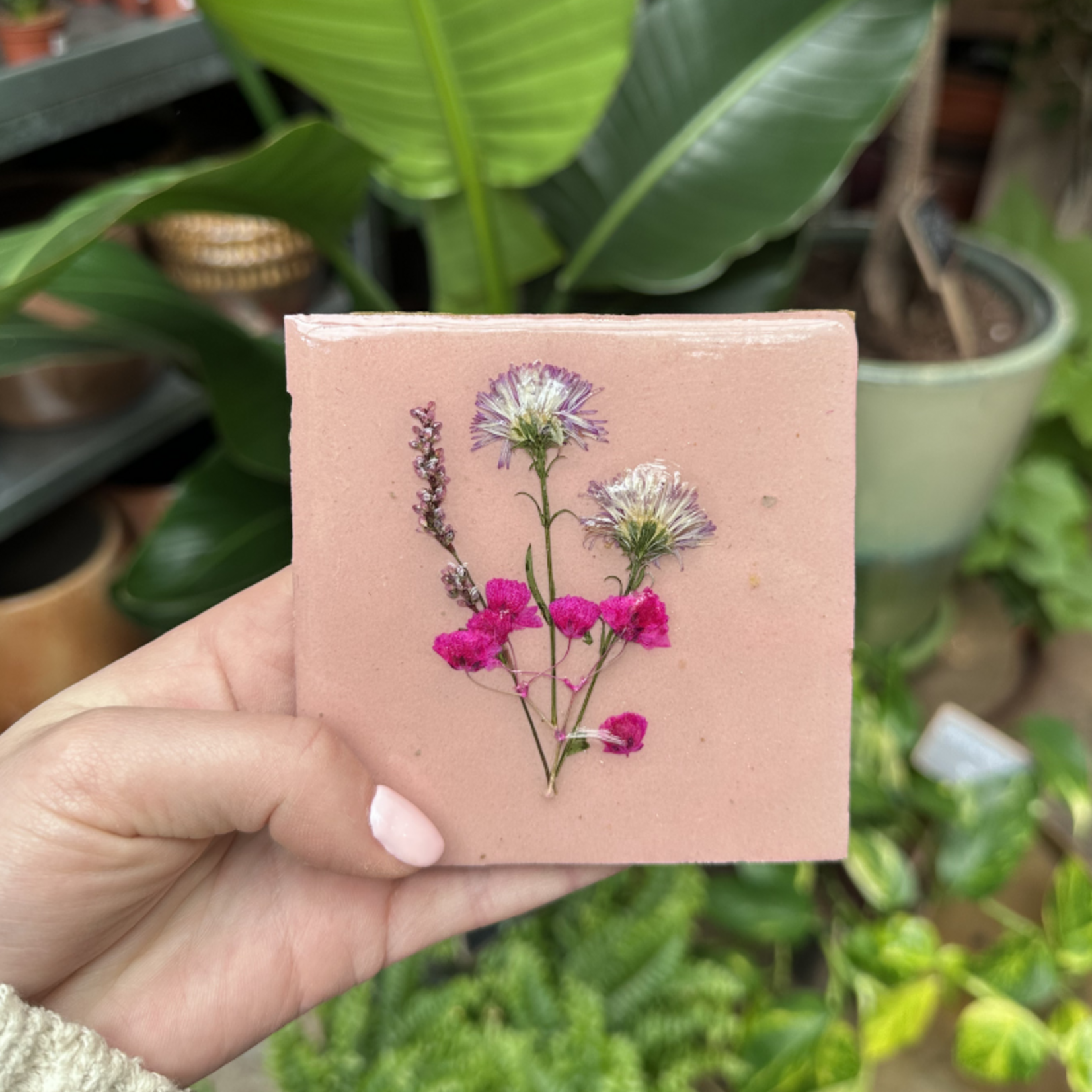 Droogbloemen tegel - oudroze - paarse bloem