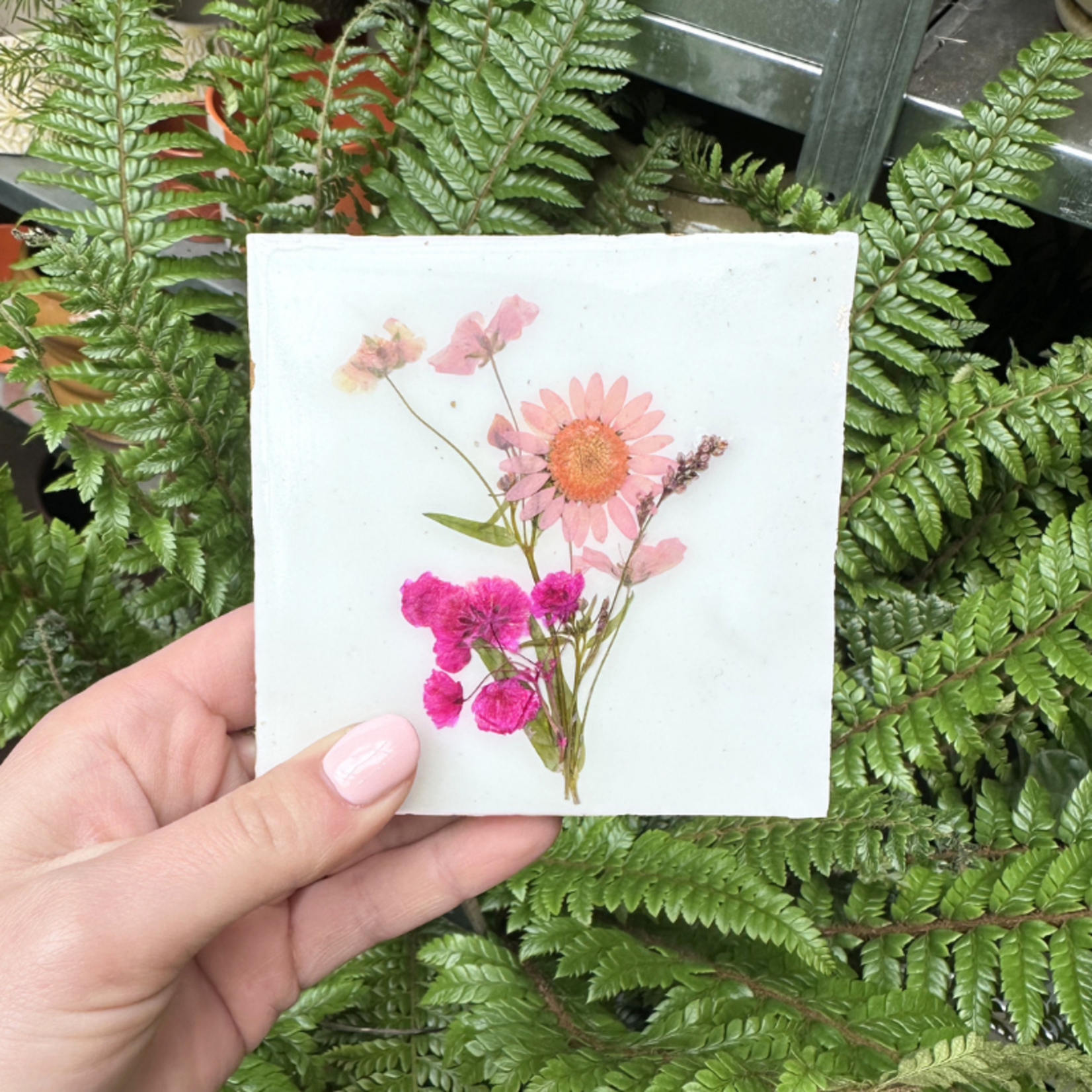 Droogbloemen tegel - wit - roze bloem