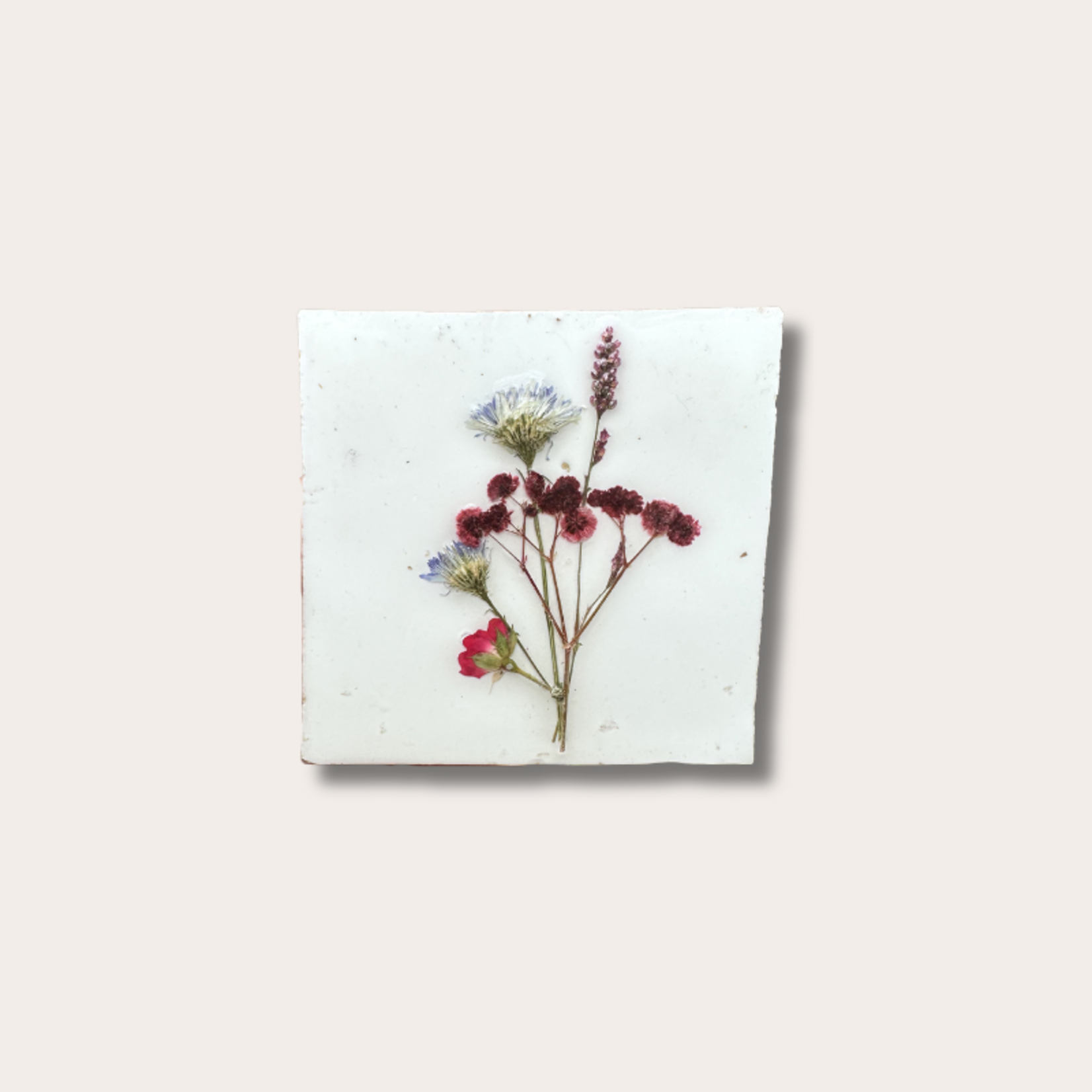 Droogbloemen tegel - wit - rode bloem