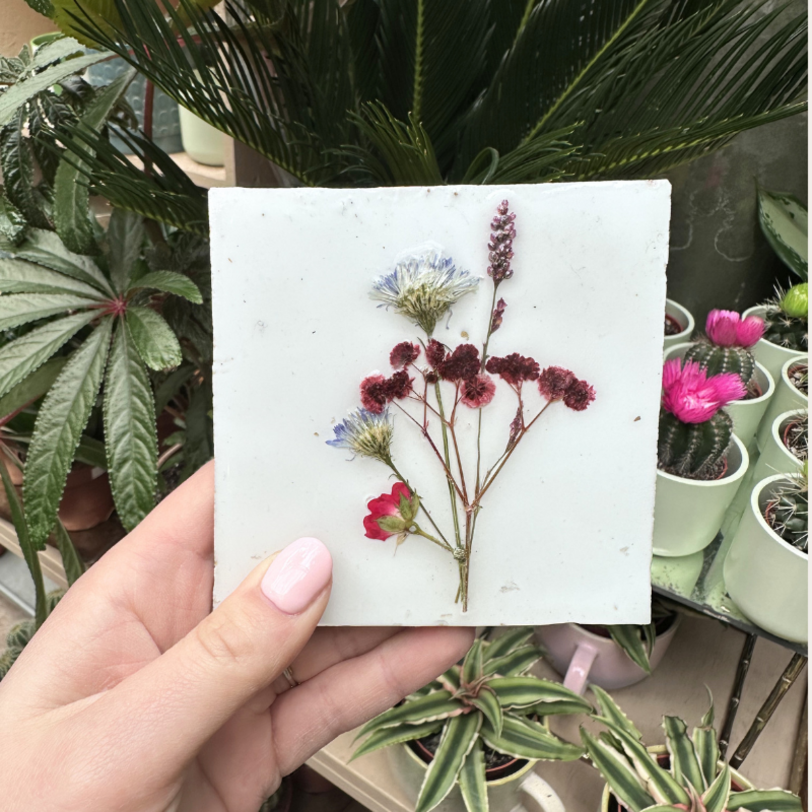 Droogbloemen tegel - wit - rode bloem