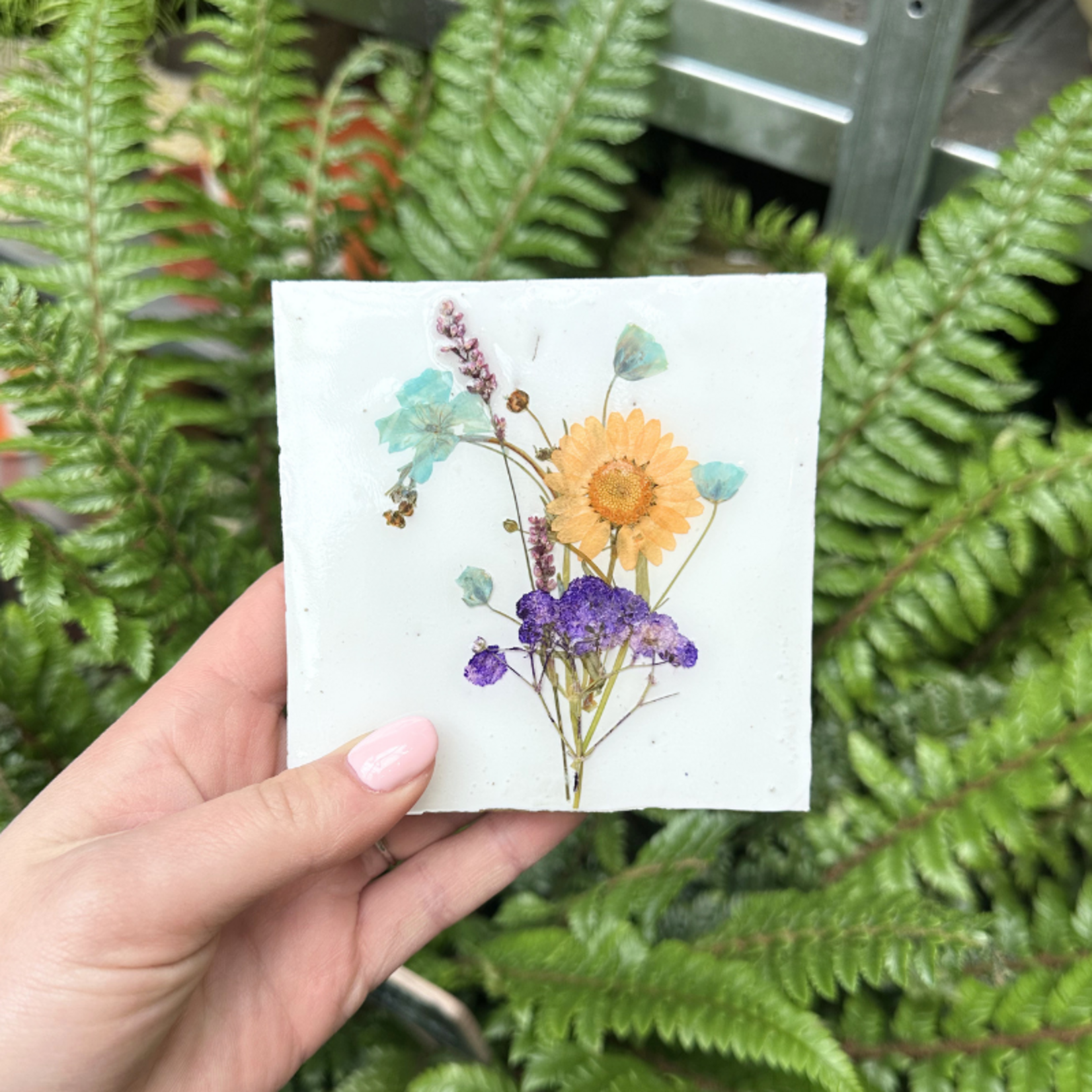 Droogbloemen tegel - wit - oranje bloem