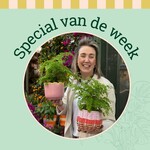 Groene Vingers Special van de week