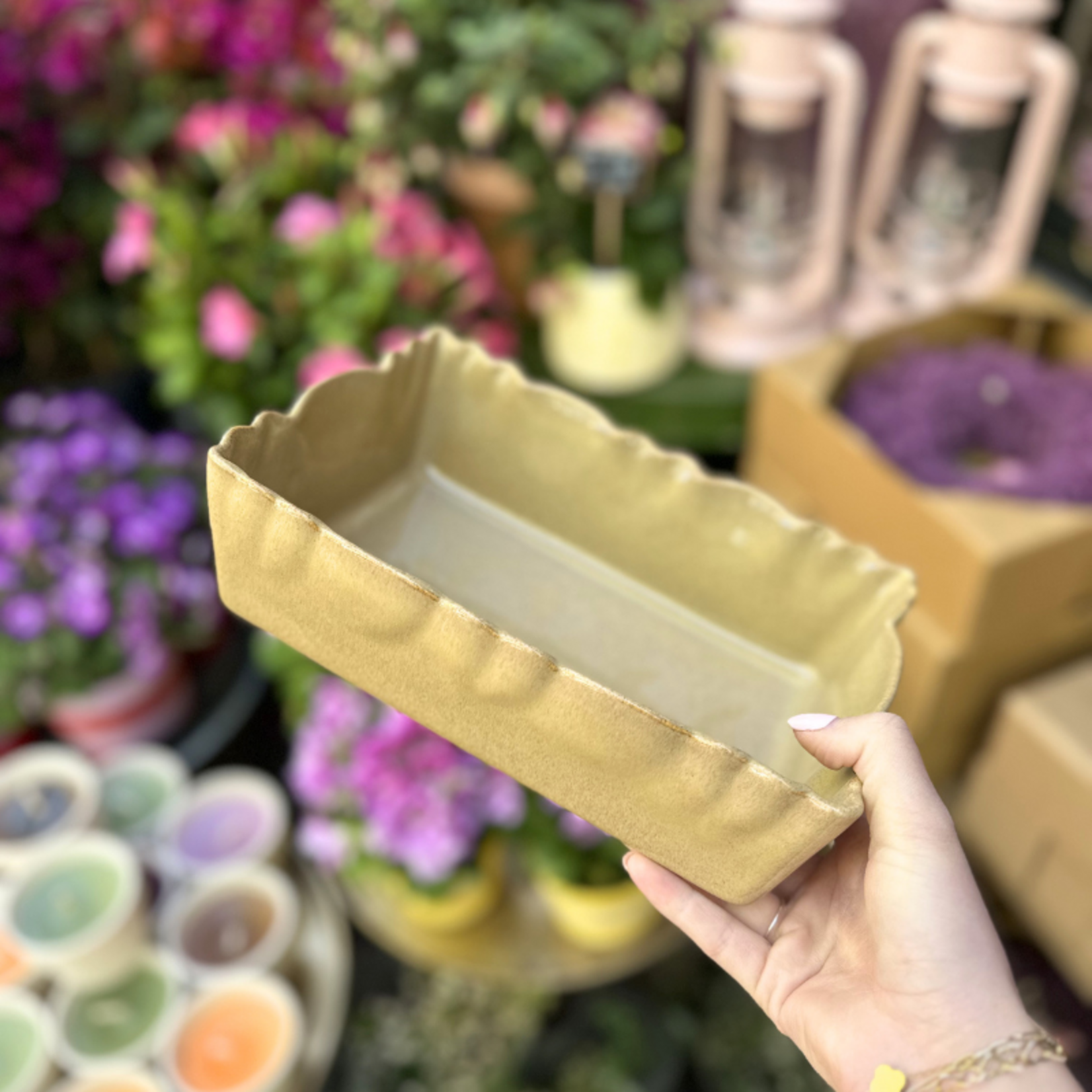 Ovenschaal Moris - CafeauLait - S