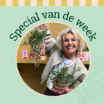 Groene Vingers Special van de week