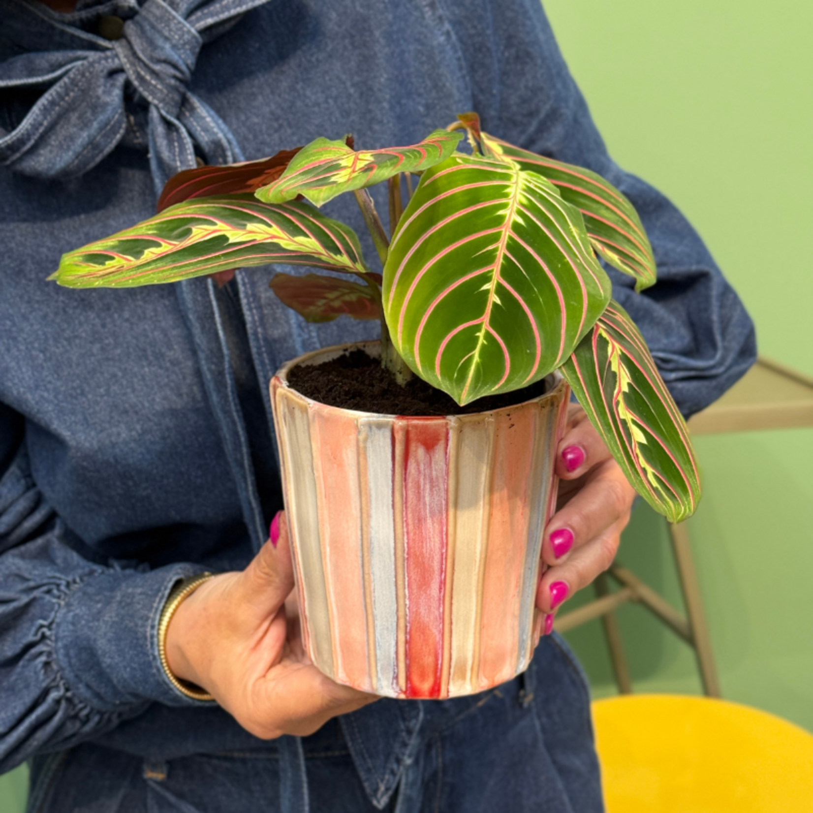 Pot - Soof - streep - recht - multicolor