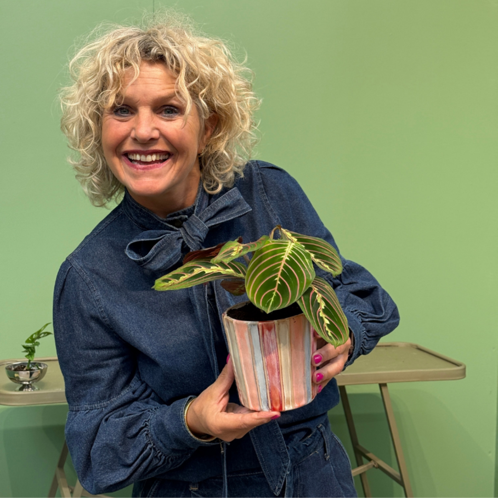 Pot - Soof - streep - recht - multicolor