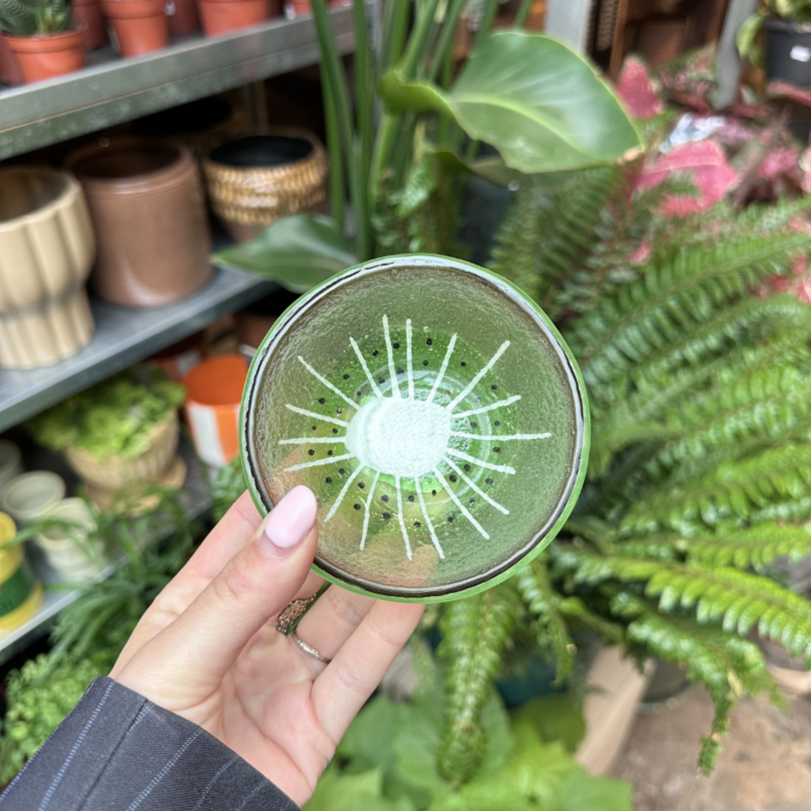 Schaaltje - Glas - Kiwi - XS