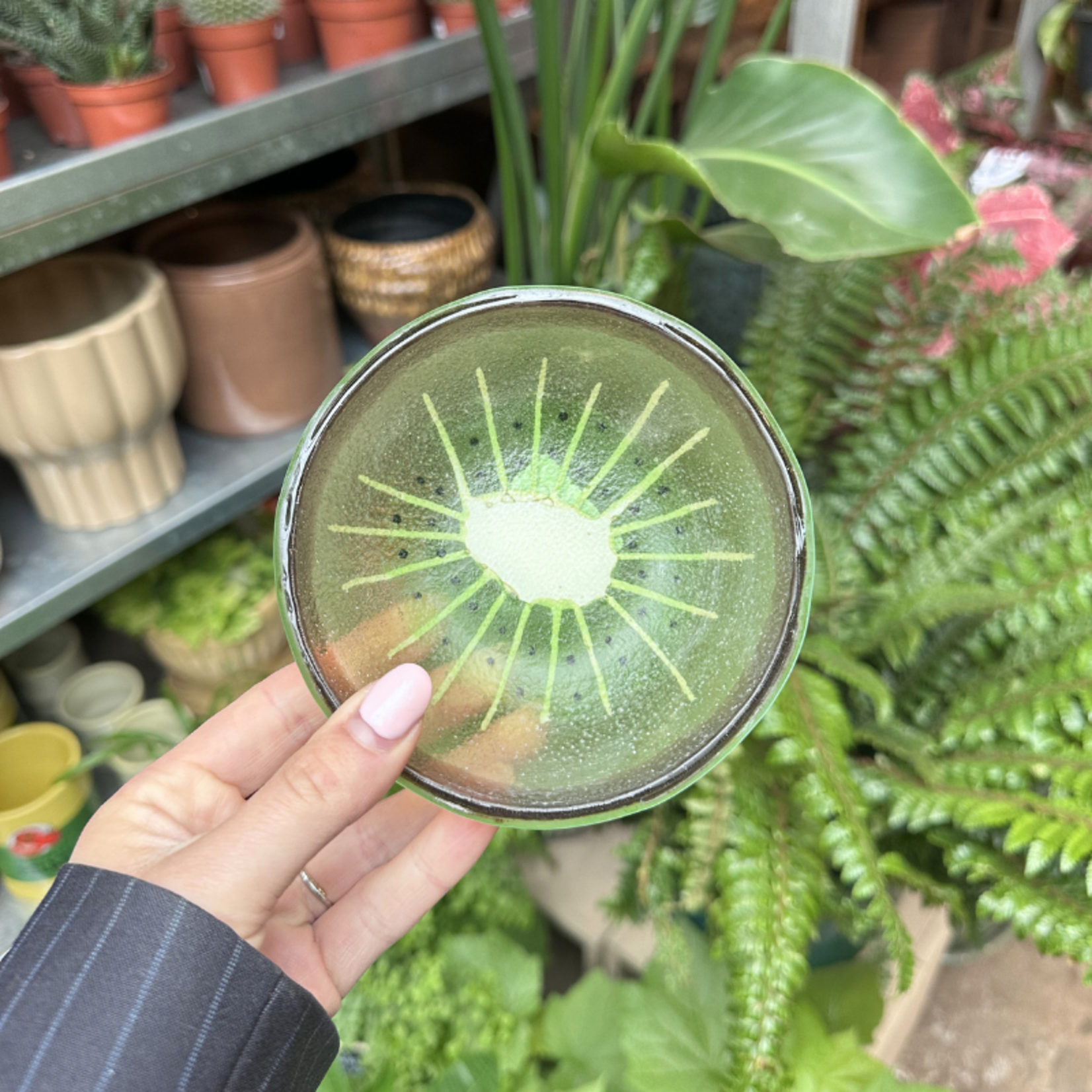 Schaaltje - Glas - Kiwi - S