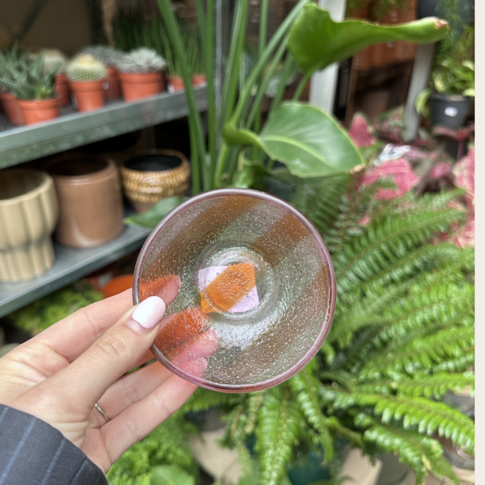 Schaaltje - Glas - Oranje/roze - XS