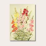 Poster - Snapdragon - 50x35 cm