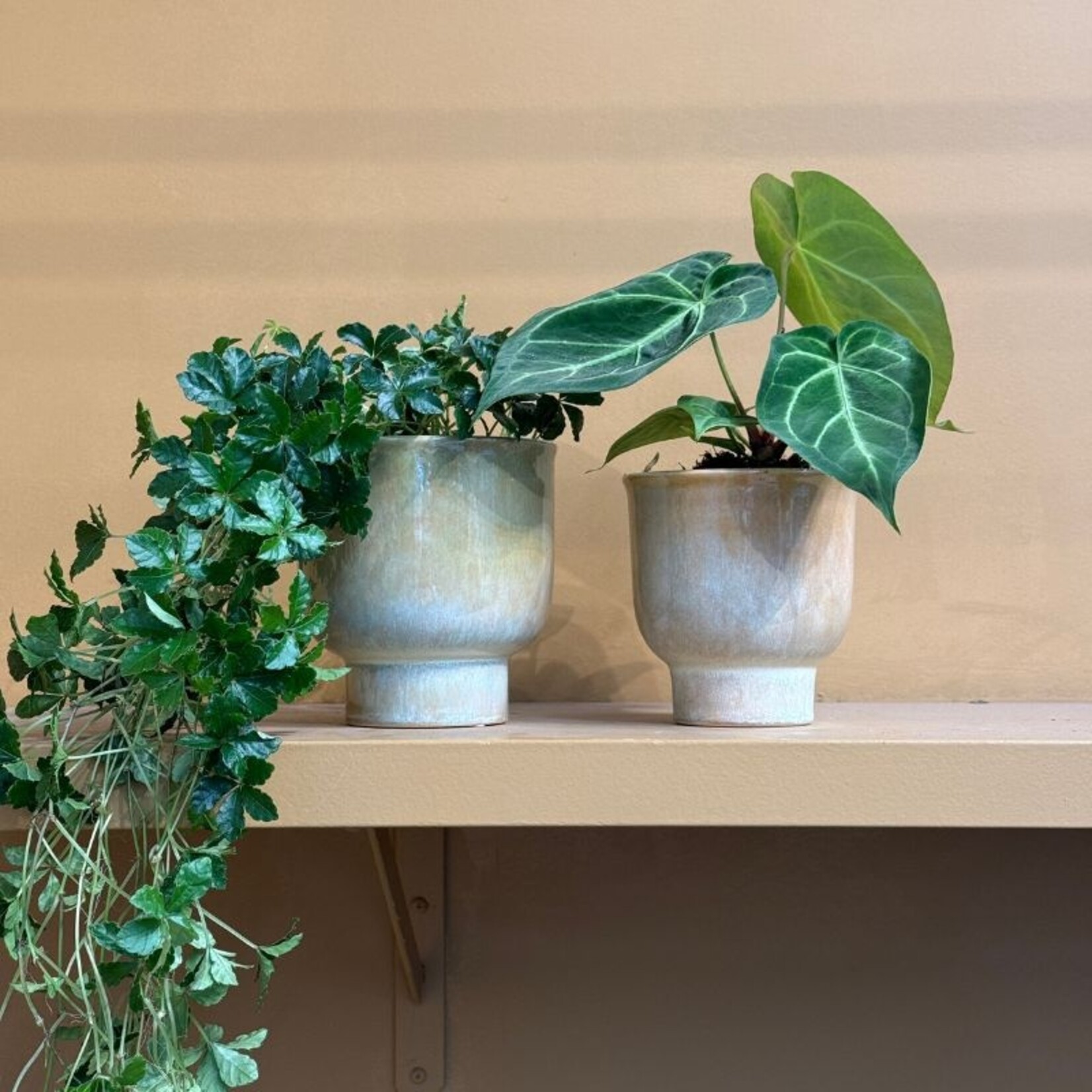Pot - Vivi - groen