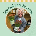 Groene Vingers Special van de week