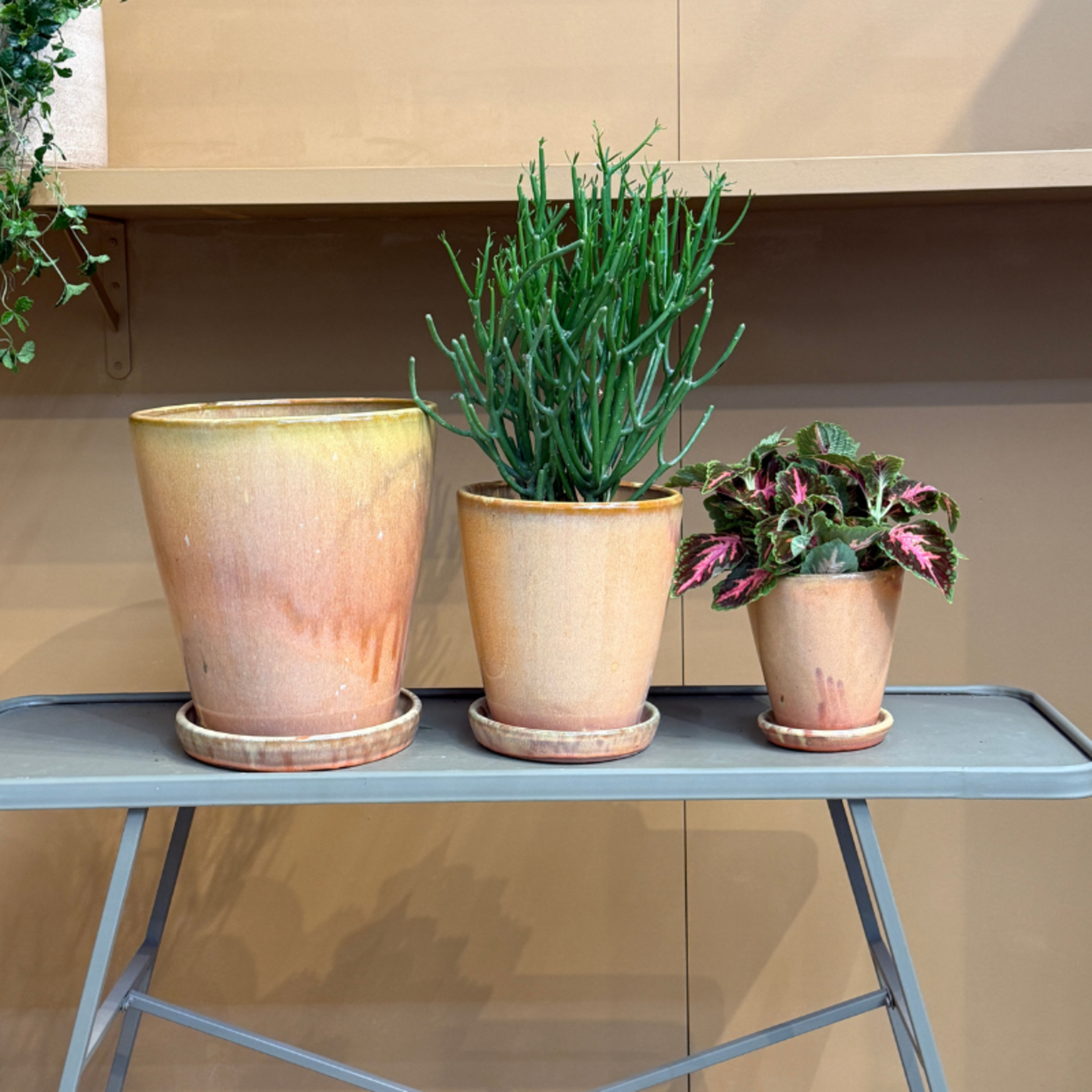 Geglazuurde pot met schotel - Abby - Terracotta