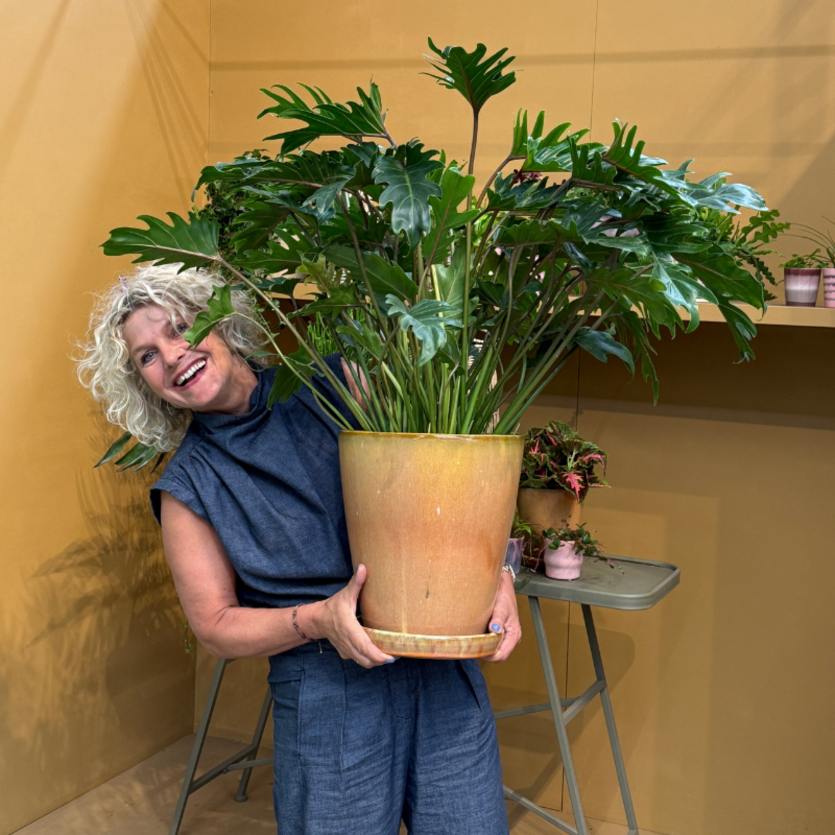 Geglazuurde pot met schotel - Abby - Terracotta