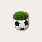 Sagina - in WK voetbal potje