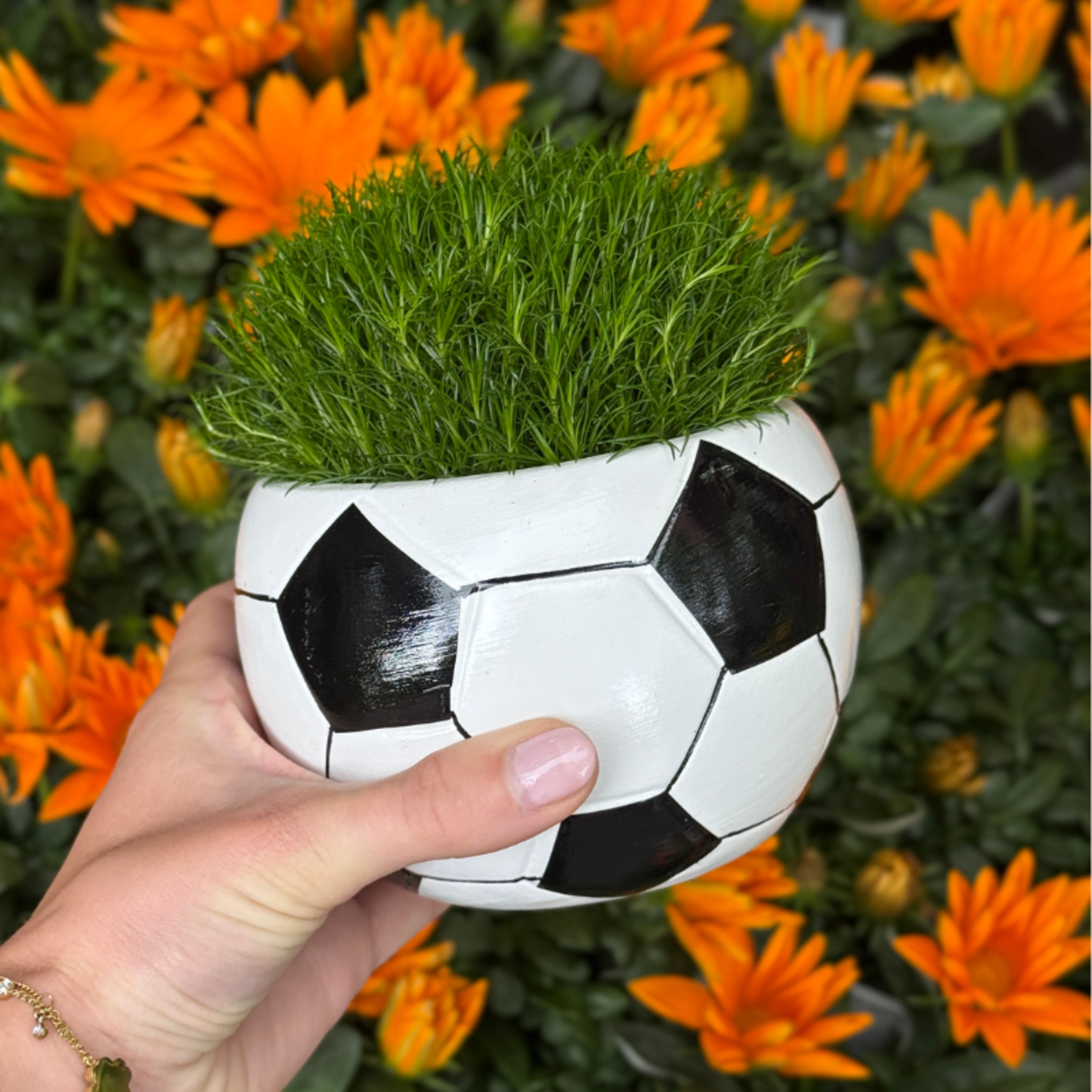 Sagina - in WK voetbal potje