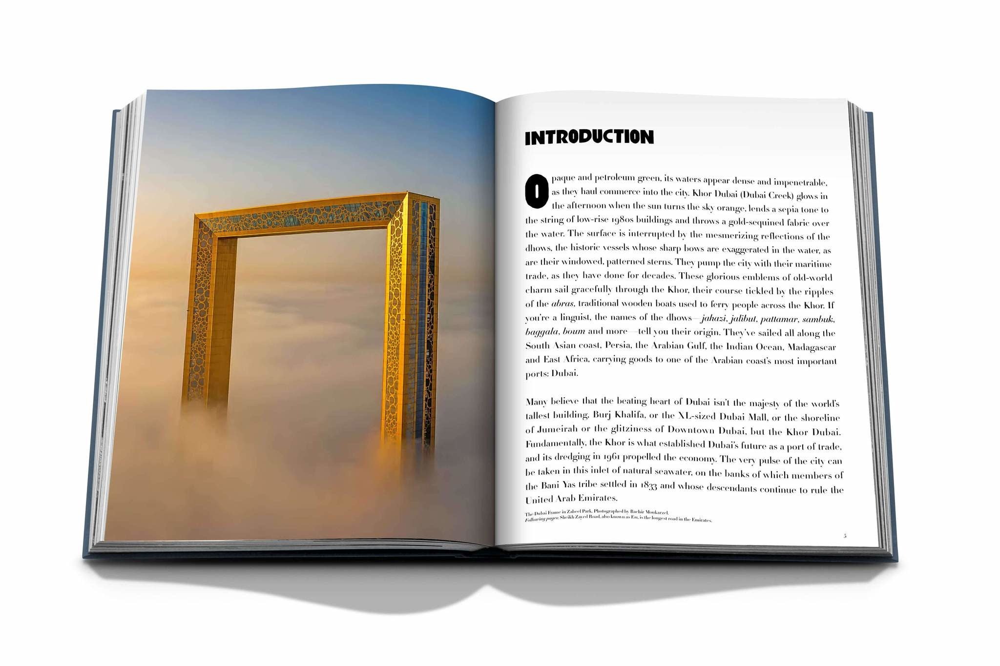 Book Dubai Wonder-4