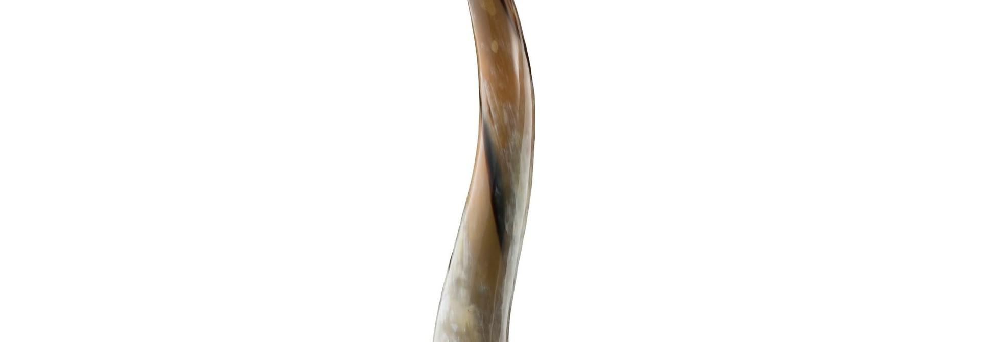 Sculpture Horn Leuca On Wooden Base