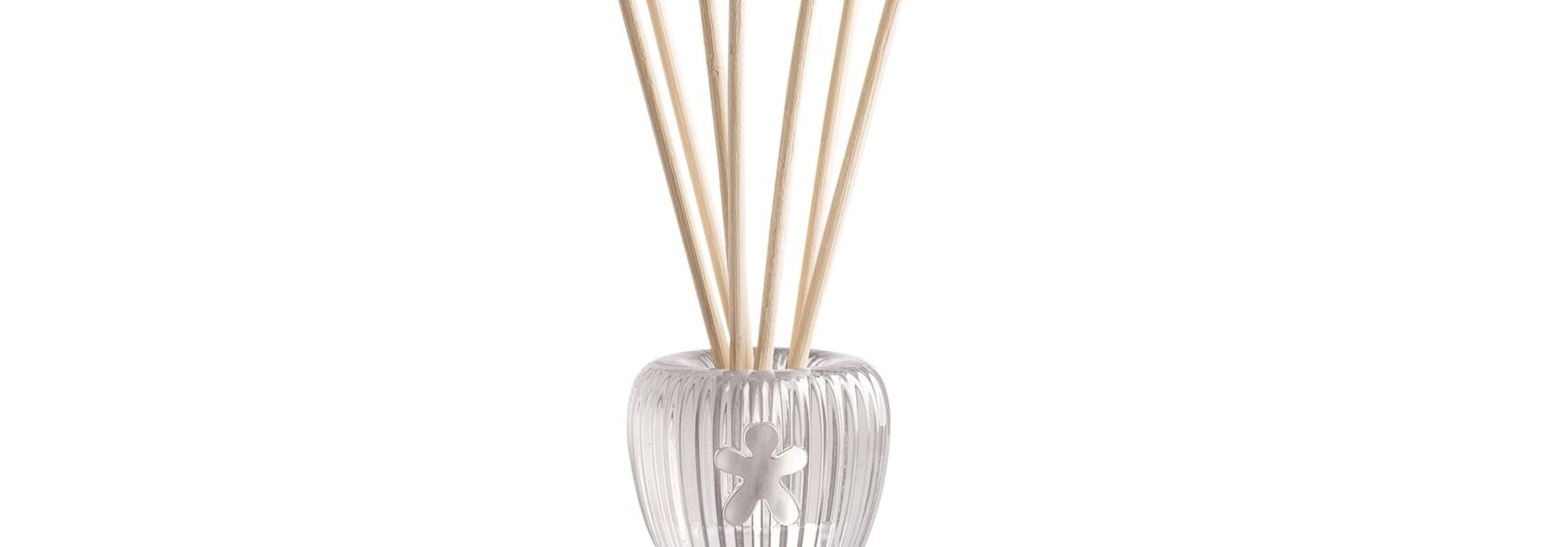 Diffuser Queen Lillac 04 Paolo Santo, Labdanum, Cedare Wood 1000ml