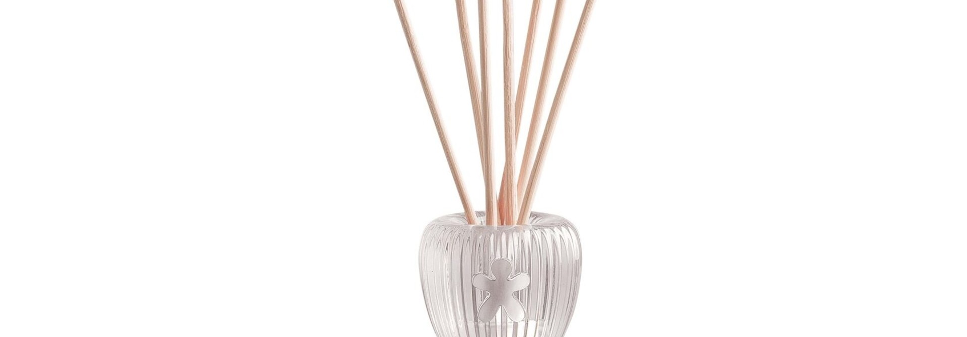 Diffuser Queen Brown 06 Spicy Orange, Oud, Black Amber 1000ml