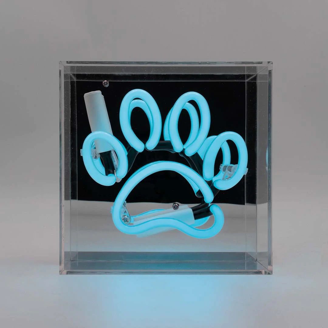 Box Neon Paw Blue-2