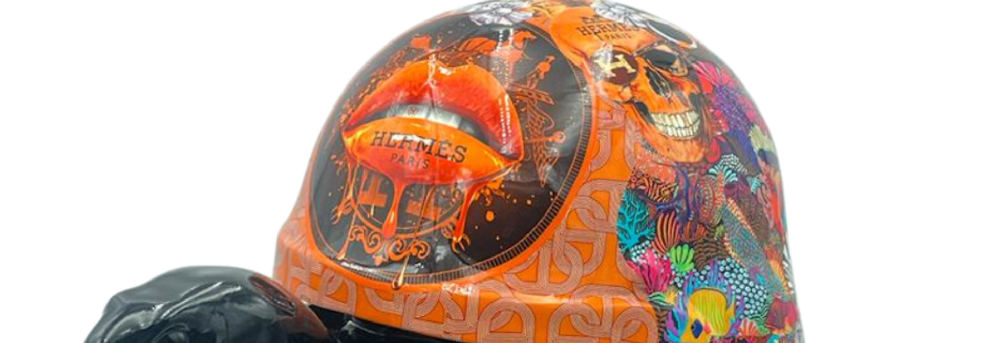 Tortue Hermès Pop Art