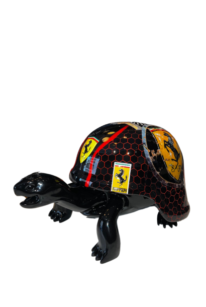 Turtle Ferrari Black
