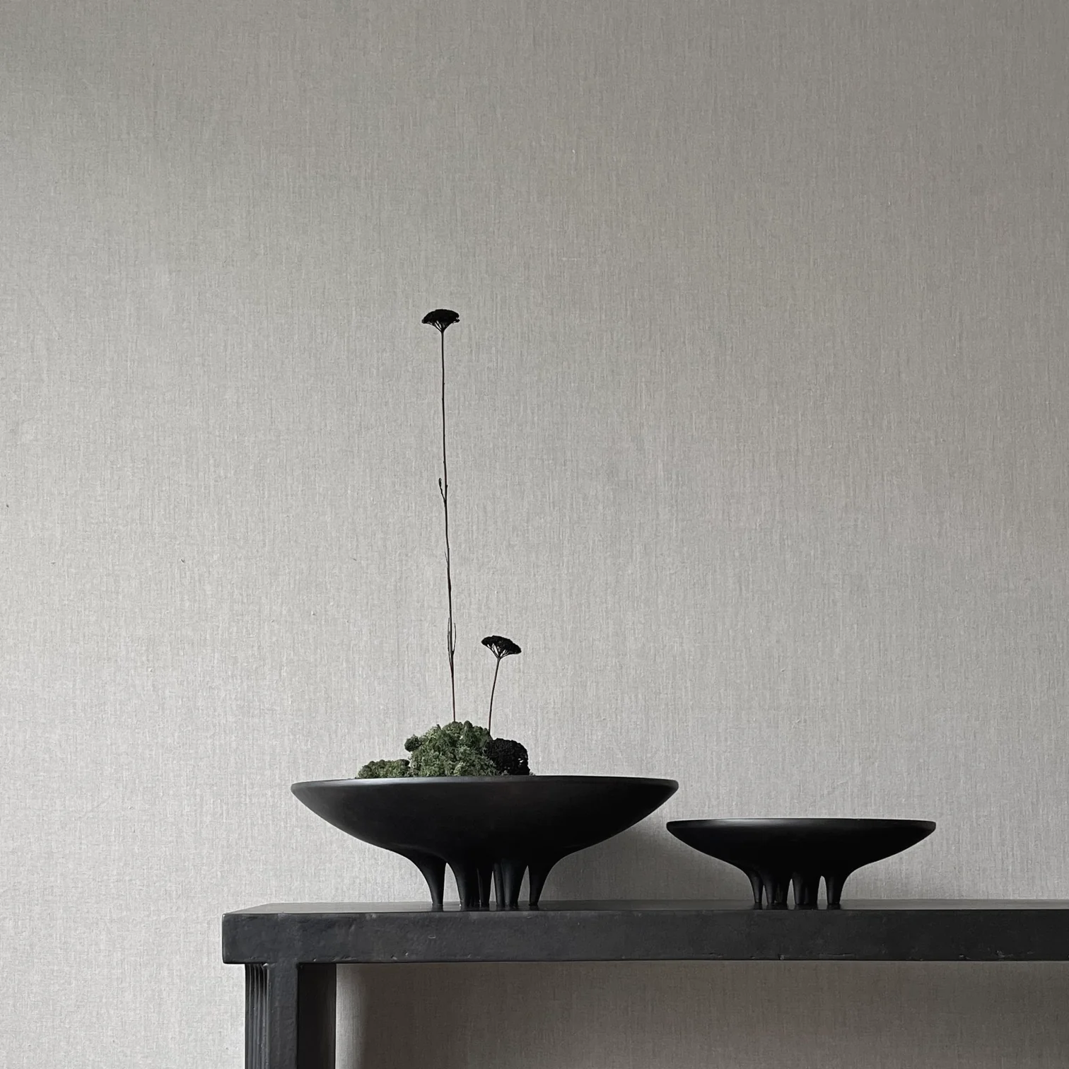 Tray Medusa Mini Coffee-6