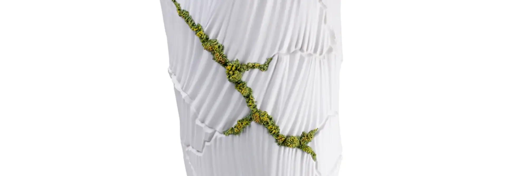 Vase Meltemi Anemos White & Green Moss