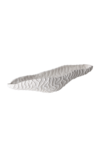 Centerpiece Bowl Coral Reef Fossilia White