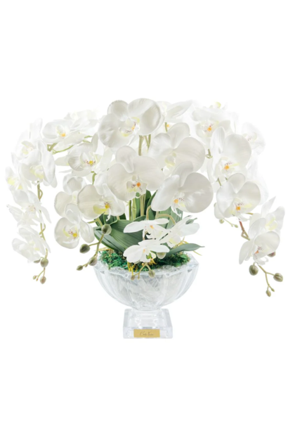 Centre de Table Orchidée Blanc