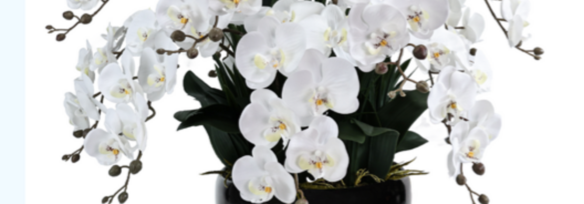 Grand Bouquet Orchidée Blanc