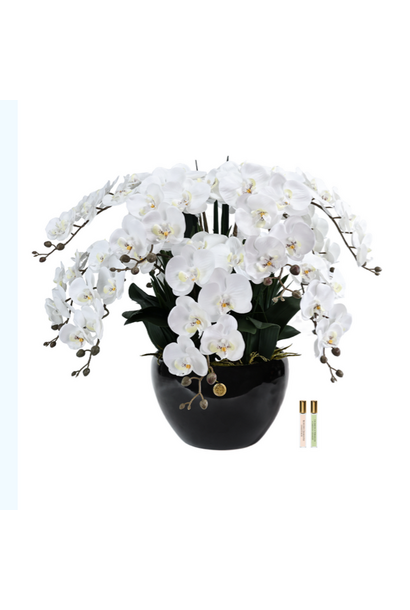 Grand Bouquet Orchidée White