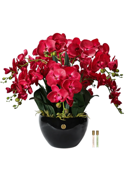 Orchidée Impériale Rouge