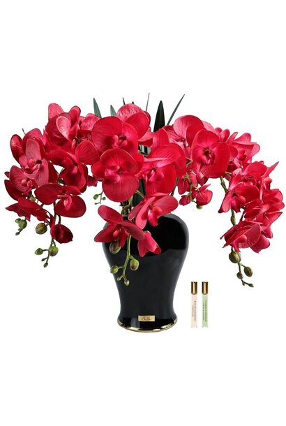 Imperial Orchid Scarlet