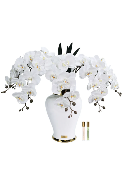 Orchidée Impériale Blanc