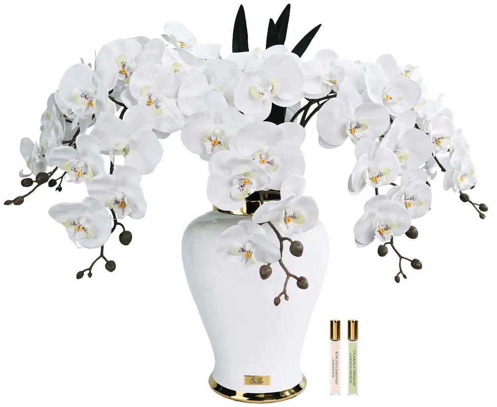 Orchidée Impériale Blanc-1