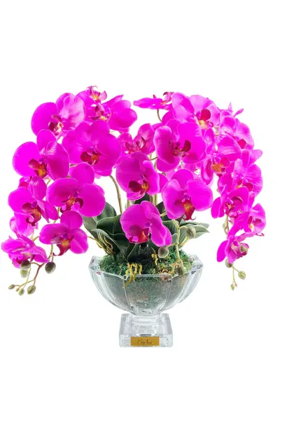 Centre de Table Orchidée Fuschia