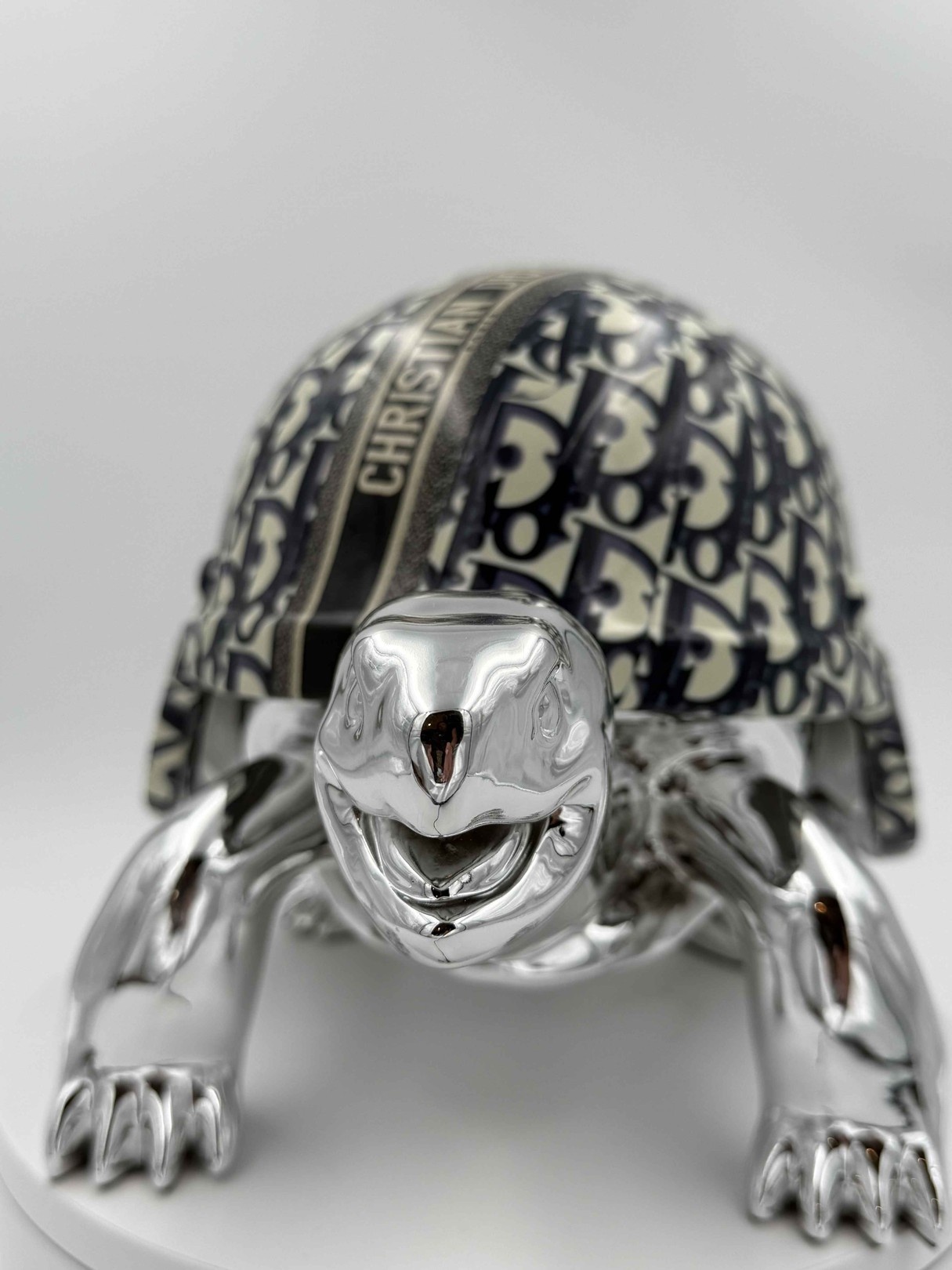 Turtle Dior Logo Bleu 40cm-2