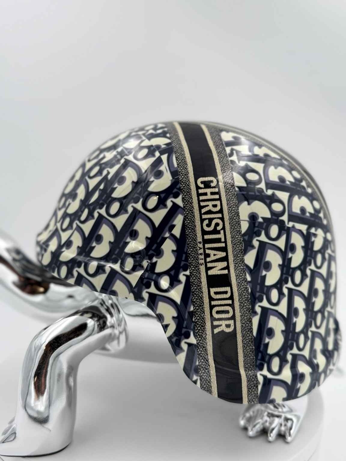 Turtle Dior Logo Bleu 40cm-5