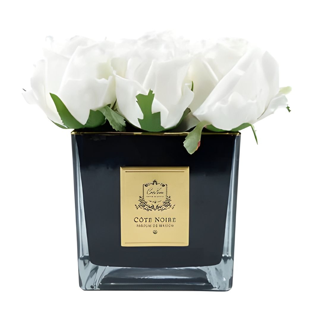 Square 9 Roses – Ivory – Black Vase with Gold Badge-1